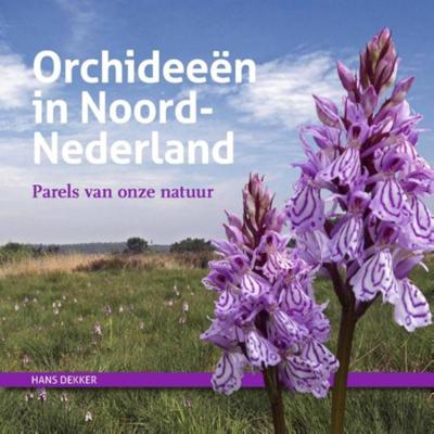 Orchideeën in Noord-Nederland (Hardback)