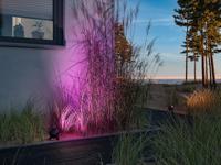 Paulmann 94771 POEV 160/12KAD LED-tuinspot LED 6.2 W Antraciet - thumbnail
