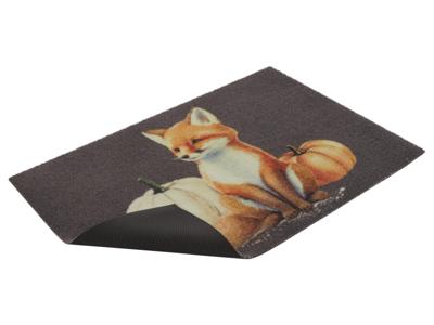 LIVARNO home Deurmat 60 x 40 cm (Vos)