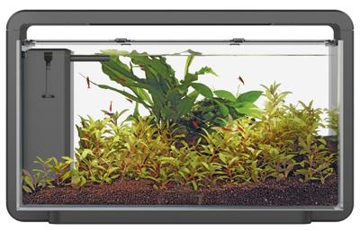 Superfish Home 30 aquarium zwart