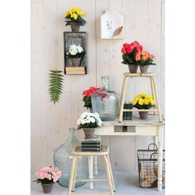 Mica Decoration Kunstplant - begonia - wit - in pot - 25 cm