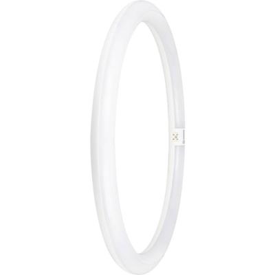 LEDVANCE LED-buis-Globe Energielabel: E (A - G) G10q 24 W Daglichtwit 1 stuk(s) (Ø x l) 400.00 mm x 400.00 mm LEDVANCE LED-buis-Globe Energielabel: E (A - G) G10q 24 W Daglichtwit 1 stuk(s) (Ø x l) 400.00 mm x 400.00 mm