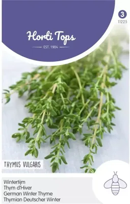 Tijm, Echte Winter Thymus Vulgaris - Hortitops