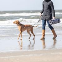 Hondenriem Trixie Be Nordic Zwart Zand S/M - thumbnail