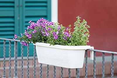 Bama fioriera bloem-balkonbak 60x20x18.5 cm wit Bama fioriera bloem-balkonbak 60x20x18.5 cm wit