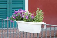 Bama Fioriera Bloem-Balkonbak 60x20x18.5 cm Wit - thumbnail