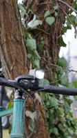 XLC Koplamp proxima pro cl-f28 - thumbnail