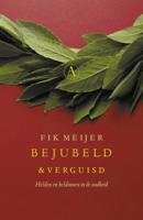 Bejubeld en verguisd - Fik Meijer - ebook - thumbnail