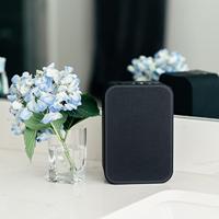 Bluesound Pulse Flex 2i - Draadloze Luidspreker - Zwart - thumbnail