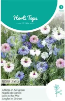 Zaden Nigella Juffertje-in-het-groen Persian Jewels gemengd Hortitops - Hortitops - thumbnail