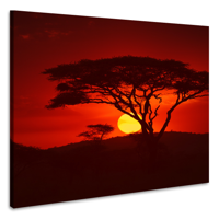 Schilderij - Zonsondergang in Afrika, premium print, 3 maten - thumbnail