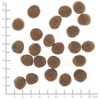 WOLFSBLUT VetLine Gastrointestinal Duck - droog hondenvoer - 12kg - thumbnail