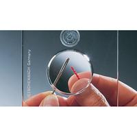 Eschenbach 2678 Hangloep Vergrotingsfactor: 2 x, 4 x Lensgrootte: (l x b) 140 mm x 100 mm - thumbnail