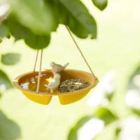 POINT-VIRGULE - Tuin - Vogelbad 27cm geel - thumbnail