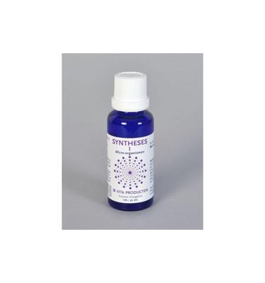 Vita Syntheses 1 Micro Organismen