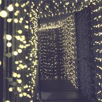 LED lichtsnoer Lumi Garden BILLY SPHERICAL 60 LEDS Zwart noir 1 W - thumbnail