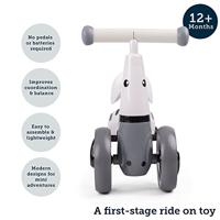 Bigjigs Diditrike loopfiets zebra - thumbnail