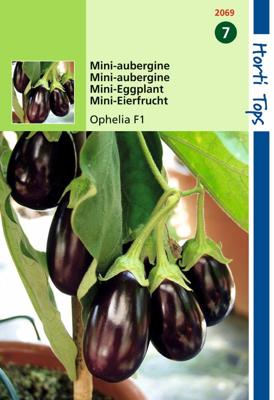 Zaden Aubergine mini Ophelia F1 Hortitops - Hortitops