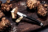 STYLE DE VIE - Laguiole Premium Line - Keukenmesjes 3-dlg zwart - thumbnail