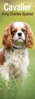 Cavalier King Charles Spaniel Kalender 2026 Slimline - thumbnail