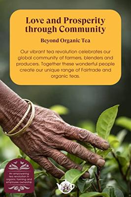English Tea Shop Wellness Collection English Tea Shop Wellness Collection
