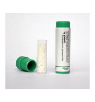 Homeoden Heel Spigelia anthelmia 4CH 1 Gram - thumbnail