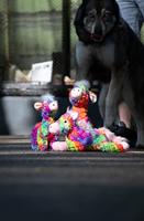 FantaZoo Horse Large - thumbnail