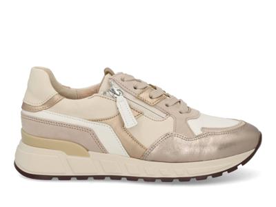 Gabor 86.368.21 latte puder Wit maat 40.5