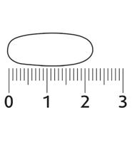 Lucovitaal Geheugen & Cognitie Capsules - thumbnail