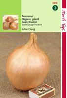 Zaden Uien Ailsa Craig Sel. Exhibition Hortitops - Hortitops - thumbnail