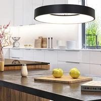 Steinhauer Led hanglampRinglede Ø 48cm zwart - 2695ZW - thumbnail