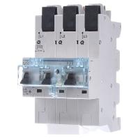 Hager HTS350E Hoofdleidingsveiligheidsschakelaar Hager HTS350E Hoofdleidingsveiligheidsschakelaar