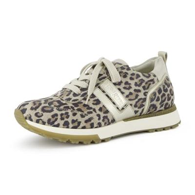 Paul Green 5392 - alle