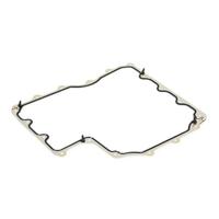 Camellia - thumbnail