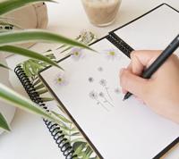 Notitieboek Bambook Original Tropical A5 lijn 40 pagina&apos;s uitwisbaar - thumbnail