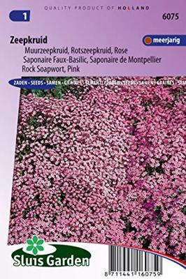 Saponaria Ocymoides zaden Zeepkruid