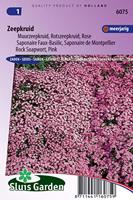 Saponaria Ocymoides zaden Zeepkruid - thumbnail