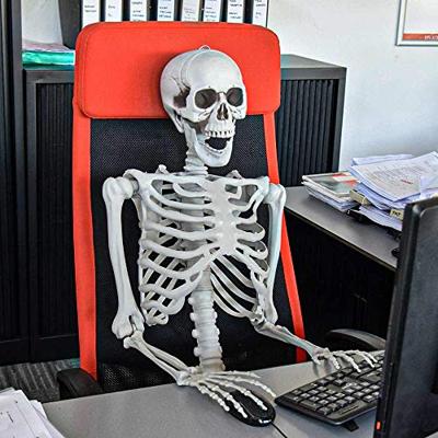 Human Size Skelet 170cm - Levensecht - Buigbaar - ABS - Halloween Decoratie - thumbnail