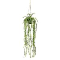 Zijdeplant Hangplant met pot Ficus Pumila kunstplant Driesprong Collection - Driesprong collection - thumbnail