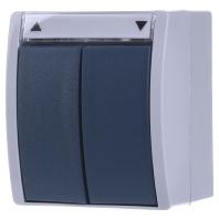 ABB 2CKA001085A1612 Schakelaar IP44 Grijs-wit (RAL 7035), Blauw-groen