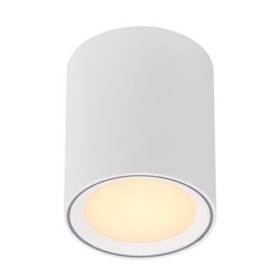 Nordlux Fallon LED-opbouwlamp LED LED vast ingebouwd 5.5 W Warmwit Wit, RVS (geborsteld)