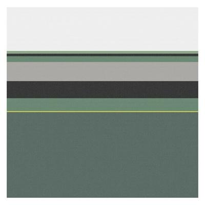 DDDDD Theedoek Rico Green DDDDD Theedoek Rico Green