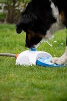 CoolPets Splash Water Fountain - thumbnail