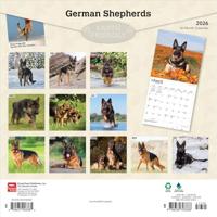 Duitse Herder Kalender 2026 - thumbnail