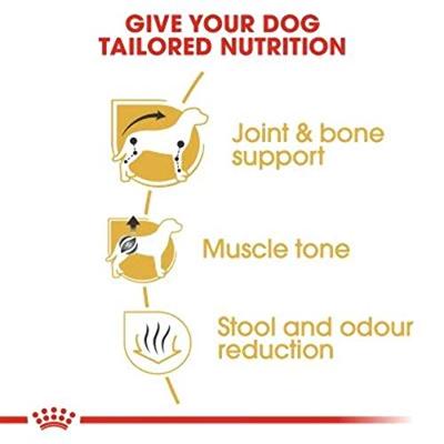 Royal Canin Adult Dachshund (Teckel) hondenvoer 2 x 1,5 kg