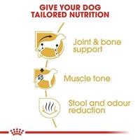 Royal Canin Adult Dachshund (Teckel) hondenvoer 1,5 kg - thumbnail