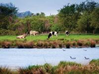 Polder 70x50cm Tuinschilderij Customize-it - Customize it - thumbnail