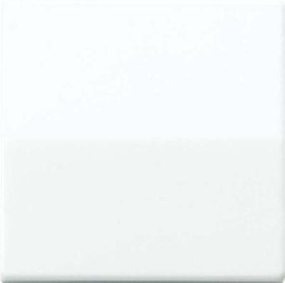 AS500 tastafdekking voor tastdimmer wit AS1561.07WW