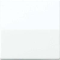 AS500 tastafdekking voor tastdimmer wit AS1561.07WW - thumbnail