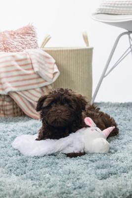 Beeztees Puppy flatino unicorn lo wit 74cm - thumbnail